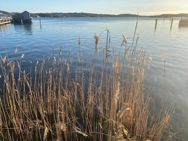 Mycket Trevlig Stuga Pa Braennoe Med Havsutsikt Branno Exterior foto